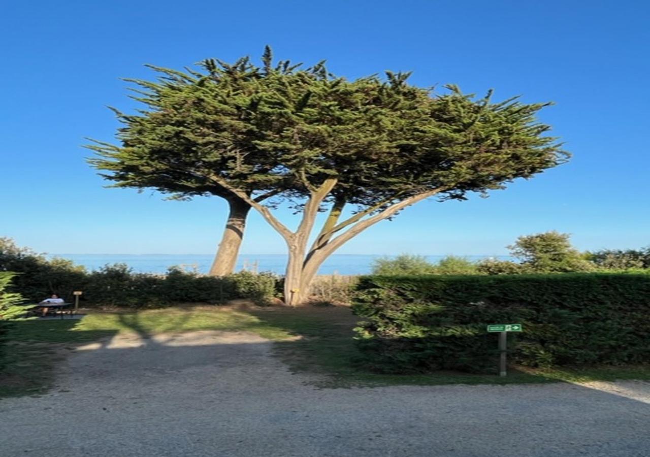 Mobilhomes Quiberon Camping Conguel - Bord De Mer Exteriér fotografie
